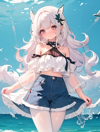 在SEO的海洋中寻找最经济的航向：泰安SEO哪家便宜